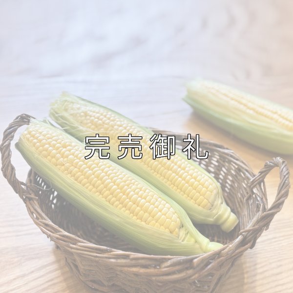 嶽きみ だけきみ