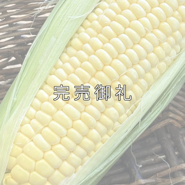 嶽きみ だけきみ