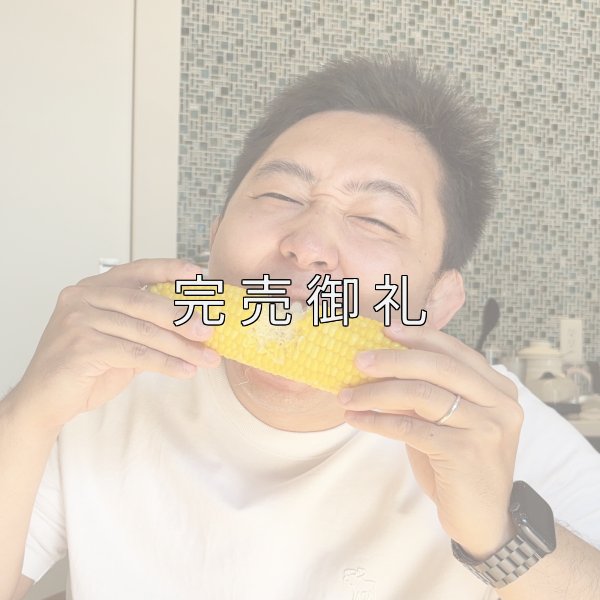 画像5: 嶽きみ(だけきみ)送料無料10本2Lサイズ 青森県産とうもろこし通販 (5)