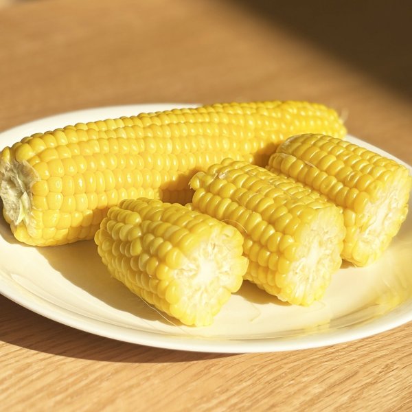 嶽きみ だけきみ