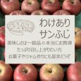 画像1: 訳あり箱 青森県産サンふじ (1)