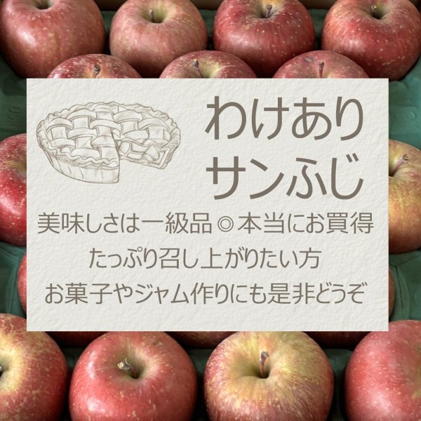 画像1: 訳あり箱 青森県産サンふじ (1)