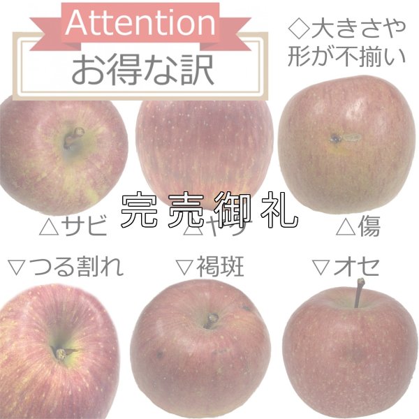 画像2: 訳あり箱 青森県産サンふじ (2)