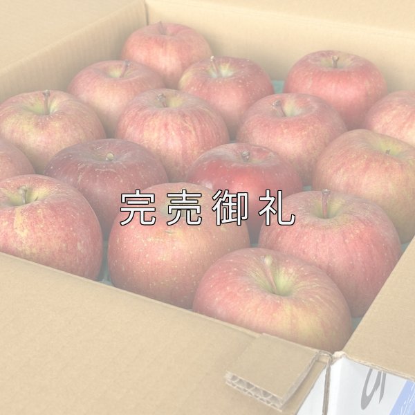 画像1: 訳あり箱 青森県産サンふじ (1)