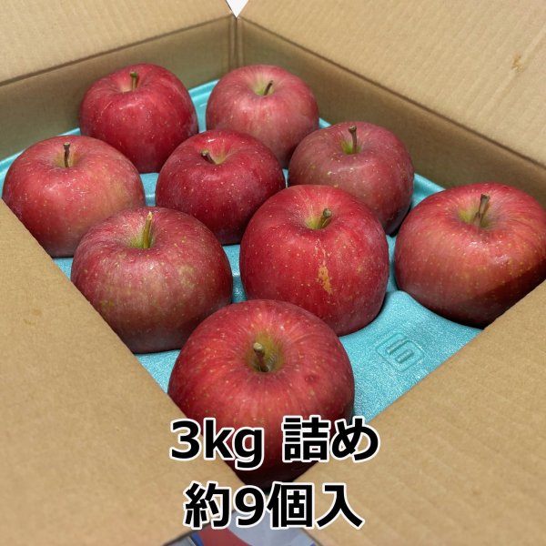 画像5: 弘前ふじ 青森県産りんご (5)