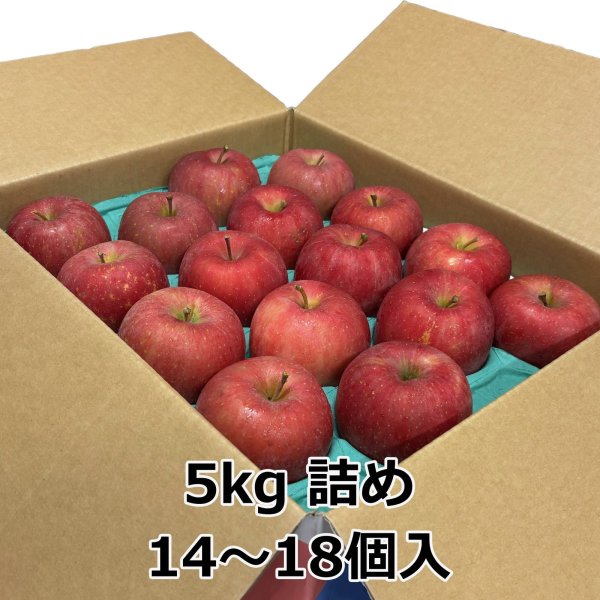画像6: 弘前ふじ 青森県産りんご (6)