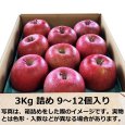 画像5: 目利きオススメりんご便 (5)