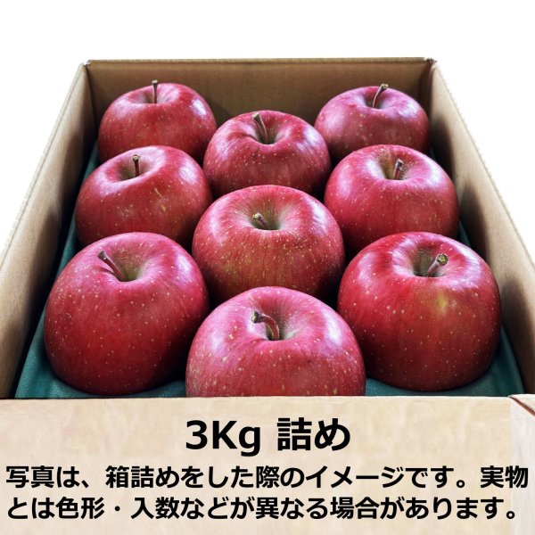 画像5: りんご定期便-目利きオススメりんご (5)