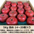 画像6: 目利きオススメりんご便 (6)