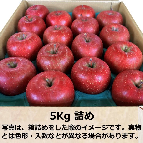 画像6: りんご定期便-目利きオススメりんご (6)