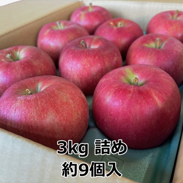 画像5: シナノスイート 青森県産りんご (5)