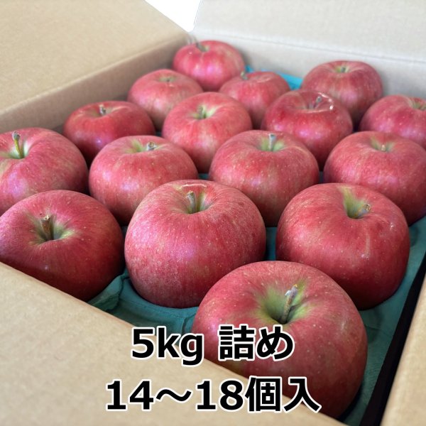 画像6: シナノスイート 青森県産りんご (6)