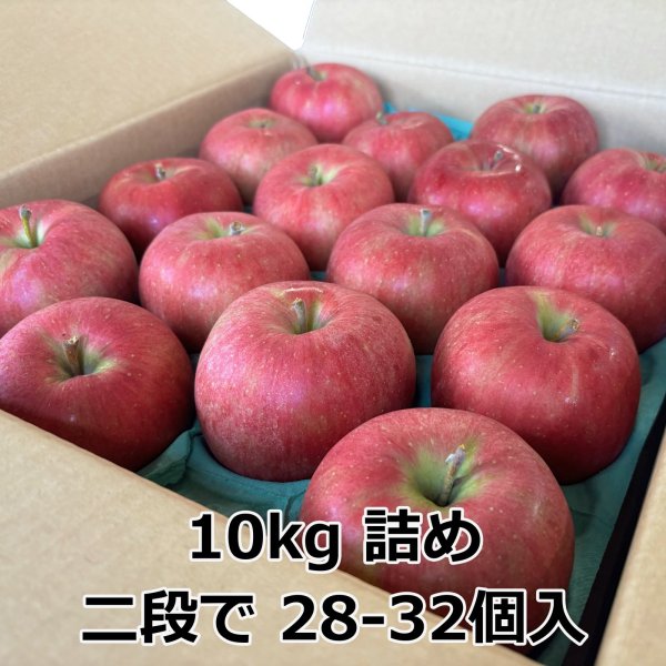 画像7: シナノスイート 青森県産りんご (7)