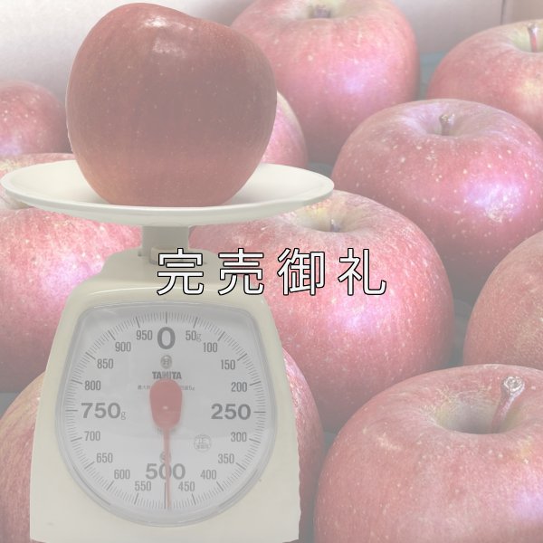 画像1: 大玉 青森県産サンふじ (1)