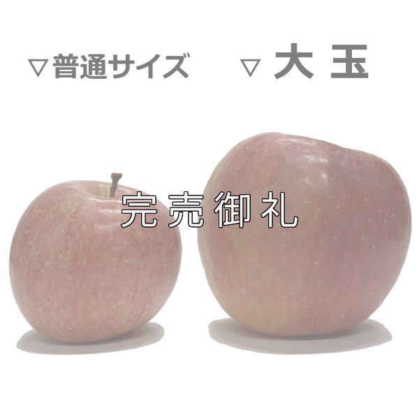 画像2: 大玉 青森県産サンふじ (2)