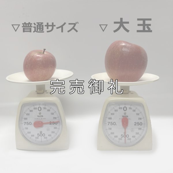 画像3: 大玉 青森県産サンふじ (3)