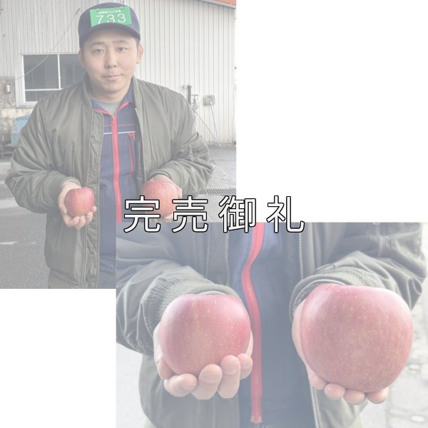 画像4: 大玉 青森県産サンふじ (4)