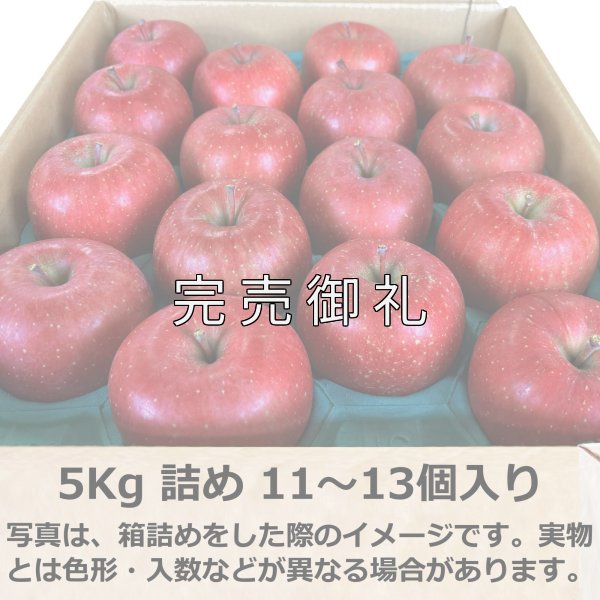 画像7: 大玉 青森県産サンふじ (7)