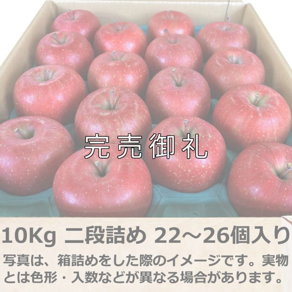 画像8: 大玉 青森県産サンふじ (8)