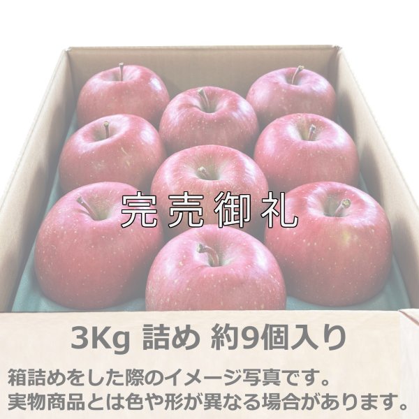 画像5: 訳あり箱 青森県産サンふじ (5)