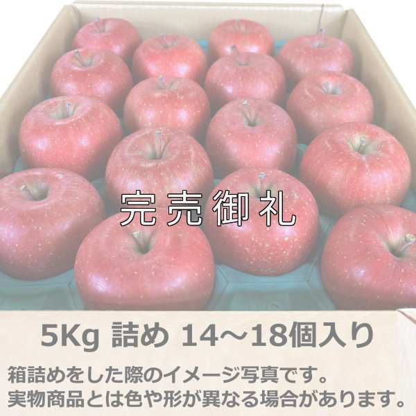 画像6: 訳あり箱 青森県産サンふじ (6)