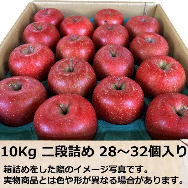 画像8: 【予約商品】サンふじ 2025年11月発送開始 (8)