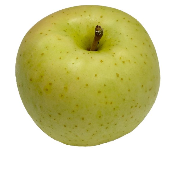 画像2: トキ（予約商品）青森県産 黄色いりんご 2026年10月発送開始 (2)