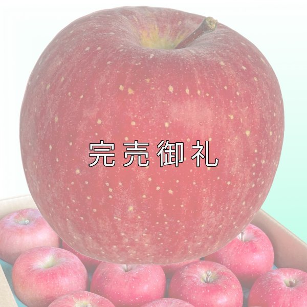 画像1: 【お得な家庭用】青森県産有袋ふじ (1)